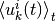 \Avg{u_k^i(t)}_t