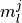 m_l^j